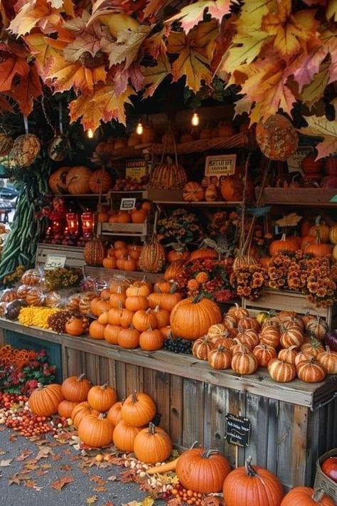 Pumpkin Farm Aesthetic, New England Fall Aesthetic, Autumn Hygge, Autumn Moodboard, Fall Scenes, Fall Aesthetics, Cider Mill, Pumpkin Everything, Fall Mood Board