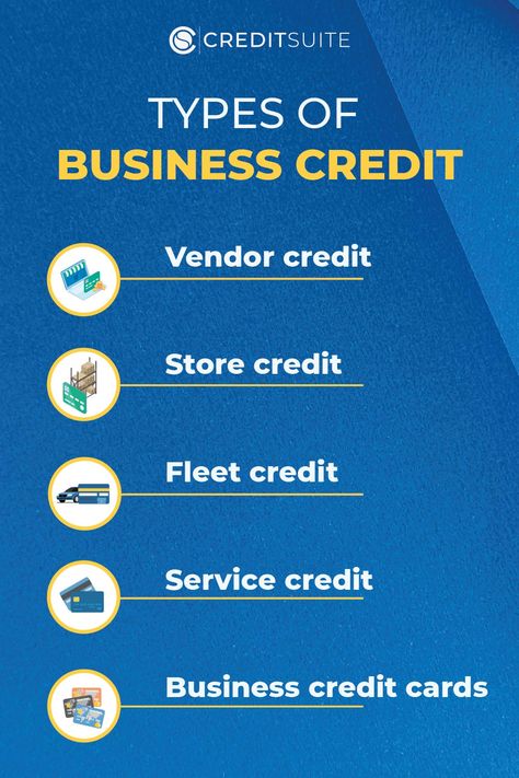 Business Credit has a LOT of utility in your business. You can beneficial credit lines such as: 💳 Vendor credit 💳 Store credit 💳 Fleet credit 💳 Service credit 💳 Business credit cards And even get to the point where you can use your business credit to finance company vehicles! Learn more about all the different types of business credit. #businesscredit #businesscreditline #buildbusinesscredit #businesscreditcoach Business Credit Building, Business Llc, Small Business Ideas Startups, Consolidate Credit Card Debt, Types Of Business, Build Business, Business Vision, Debt Help, Small Business Finance