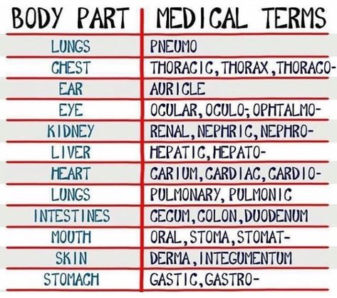 Medical Terminology Study, Medical Assistant Student, Nursing 101, Studera Motivation, Nurse Study Notes, Nursing Student Tips, Medical Student Study, Nursing School Survival, Respiratory Therapy