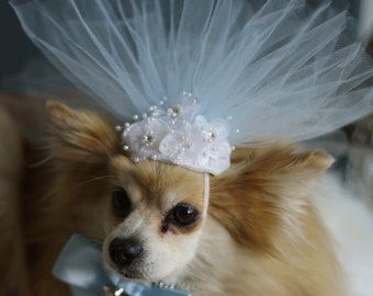 Dog Wedding Attire, Dog Wedding Dress, Dog Tuxedo, Cat Wedding, Organza Skirt, Upcycle Sewing, Wedding Costume, Wedding Pets, Pink Headbands