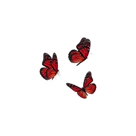 Red Pngs Aesthetic, Red Widgets Aesthetic, Pen Art Work, Twitter Backgrounds, Butterfly Template, Minimalist Icons, Png Aesthetic, Red Highlights, Red Icons:)