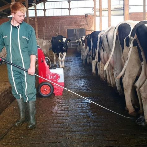 Farmer Aesthetic Man, Country Boy Outfits, Farmer Overalls, Farmer Fashion, Farmer Outfit, Farmer Boy, Northern Germany, Young Farmers, County Kerry