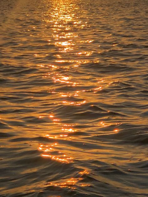 Sunset Waves Aesthetic, Sun On Water, Aesthetic Coconut, Gold Water, 8k Wallpaper, Ocean Wallpaper, Cute Wallpaper For Phone, Homescreen Wallpaper, Beautiful Nature Pictures