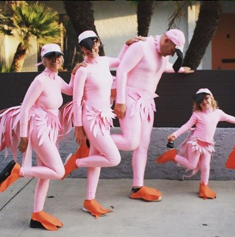 Flamingo Halloween Costume, Flamingo Halloween, Diy Flamingo, Flamingo Outfit, Flamingo Costume, Diy Kostüm, Pink Costume, Mardi Gras Costumes, Halloween Family