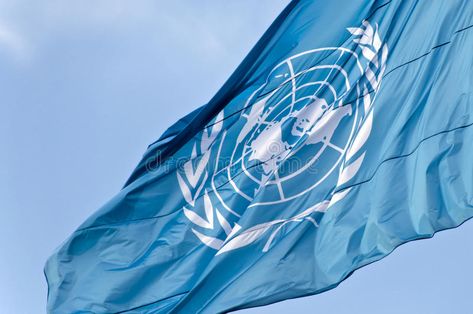 United Nations Aesthetic, United Nations Logo, Un Flag, United Nations Flag, United Nations Human Rights, United Nation, Declaration Of Human Rights, Isaiah 61, Natural Philosophy