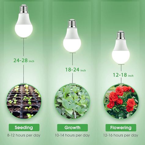 Grow Light LED Bulbs - Full Spectrum Light Bulb Plant, Led Plant Lights, Growing Bulbs, Grow Light Bulbs, Plant Light, Grow Lights For Plants, Bulbs Indoor, Led Grow Light, Plant Lighting