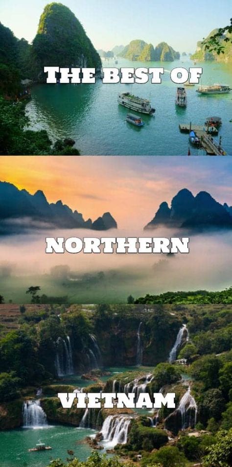 Which are the best places to visit in Northern Vietnam? Cuc Phuong National Park, Vietnam Trip, Northern Vietnam, Vietnam Travel Guide, Vietnam Tours, North Vietnam, South Vietnam, Asia Travel Guide, Southeast Asia Travel