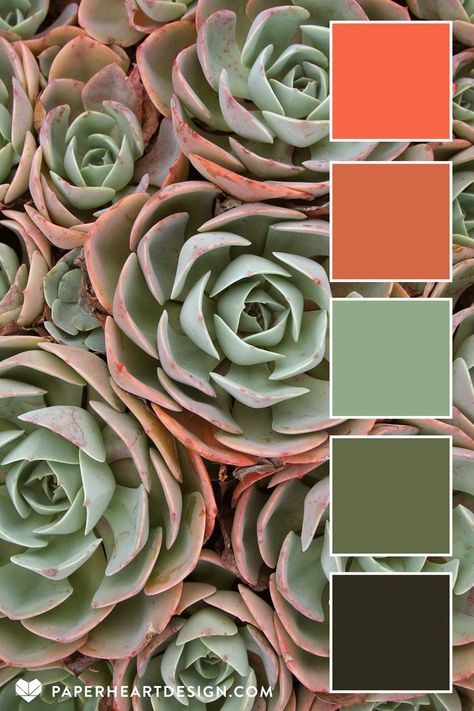 This succulent inspired color scheme is just one of hundreds of expertly designed color palettes on our blog! The Living Coral color palette collection is full inspiration for your next design project, wedding colors, interior design, branding, nail art, and more! #colorpalette #colorscheme #color #colourpalette #colorinspiration #graphicdesign #weddingcolors #interiordesign #branding #design #fashion #graphicdesign #nailart #logo #illustration #neutral #hexcode #graphicdesigner Logo Business Design, Color Palette Logo, Palette Logo, Coral Colour Palette, Logo Design Agency, Color Catalog, Color Schemes Colour Palettes, Living Coral, Have Inspiration