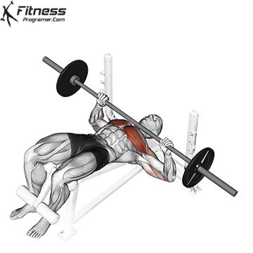 Workout Plan Builder Decline Bench Press, Barbell Press, Chest Workout Routine, Gym Workout Guide, Bodybuilding Workouts Routines, Barbell Workout, Gym Workouts For Men, Chest Muscles, Weight Training Workouts