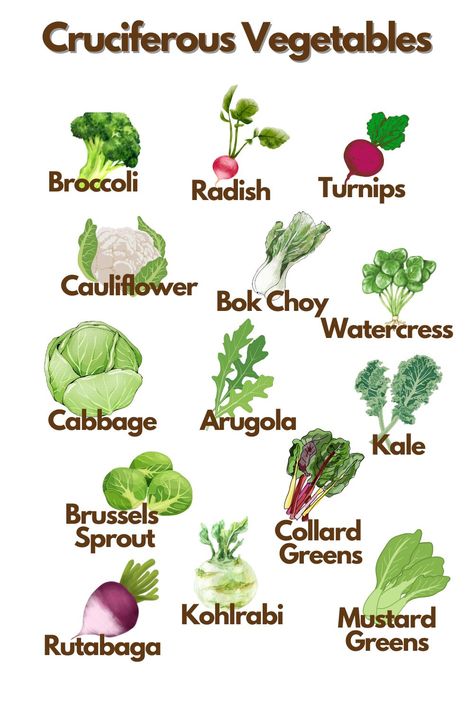 Discover the Benefits of Cruciferous Vegetables in a Colorful Infographic - A Must-Have for a Healthy Plant-Based Diet Low Blood Sugar Symptoms, List Of Veggies, Sugar Symptoms, Colorful Infographic, Light Headed, Blood Sugar Symptoms, Cruciferous Vegetables, Plant Based Diet Meal Plan, List Of Vegetables