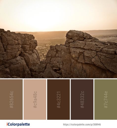 Dirt Color Palette, Cave Color Palette, Rocks Color Palette, Rock Color Palette, Victorian Color Palette, Victorian Colors, Floor Makeover, Color Palette Ideas, Pantone Colour Palettes