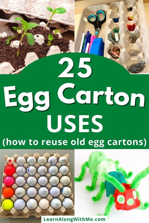 Wait! Before you toss out those egg cartons, check this out. Discover creative ways to reuse them with these egg carton uses that are both practical and fun. From seed starters to DIY crafts, learn how to repurpose egg cartons and reduce waste. 

Click now to read and start reusing your egg cartons today!

#eggcartonuses  #reuseeggcartons  #repurpose #reducewaste  #craftsforkids Egg Container Craft, Crate Crafts, Egg Container, Egg Cartons, Egg Carton Crafts, Egg Crates, Crafts For Seniors, Stem Projects, Egg Carton