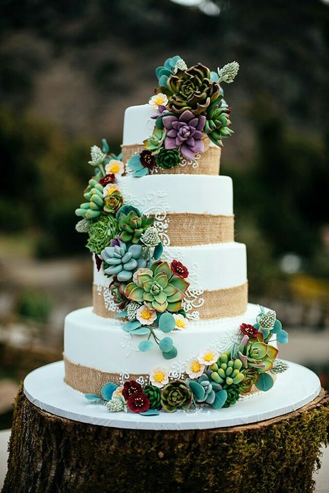 Succulent cake Succulent Wedding Cakes, Succulent Decor, Succulent Cake, Cactus Cake, Cactus Wedding, Lace Wedding Cake, Floral Wedding Cakes, Boda Mexicana, Wedding Cake Rustic