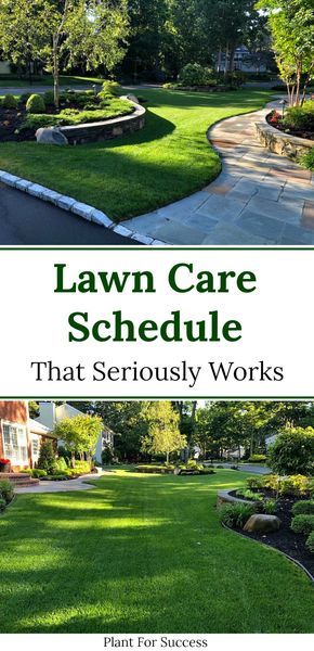 Lawn Maintenance Schedule, Organic Lawn Fertilizer, Lawn Renovation, Lawn Weeds, Lawn Repair, Spring Lawn Care, Lawn Care Schedule, Lawn Care Business, Weeds In Lawn