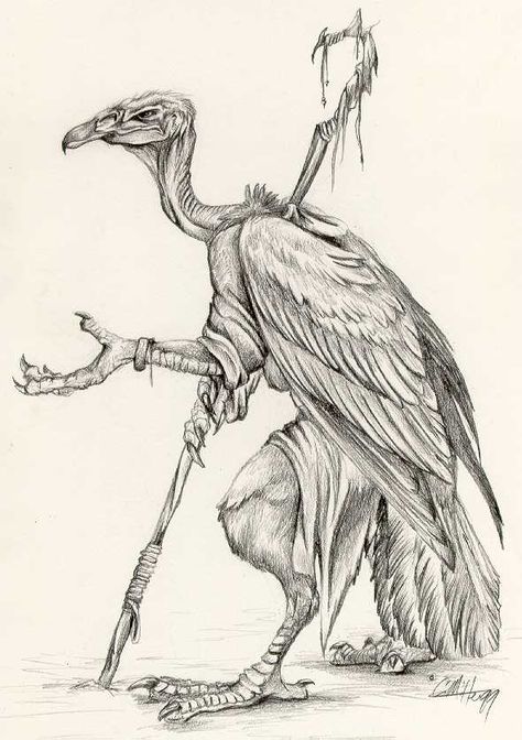 Vulture Sketch, Vulture Drawing, Vulture Tattoo, Arte Alien, Arte Robot, Buzzard, Hey Man, Fantasy Artist, Animal Sketches