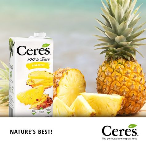 Ceres Pineapple Juice. This sunny blend of sweet, juicy pineapple, apple and grape is a tropical treat!  Full of flavour to wake up your senses. Our 100% pineapple juice blend is also high in with vitamin C. Ingredients: Pineapple juice, Apple juice, Grape juice, vitamin C Juice Grape, Grape Juice, Apple Juice, Pineapple Juice, Vitamin C, Wake Up, Grapes, Pineapple, Vitamins