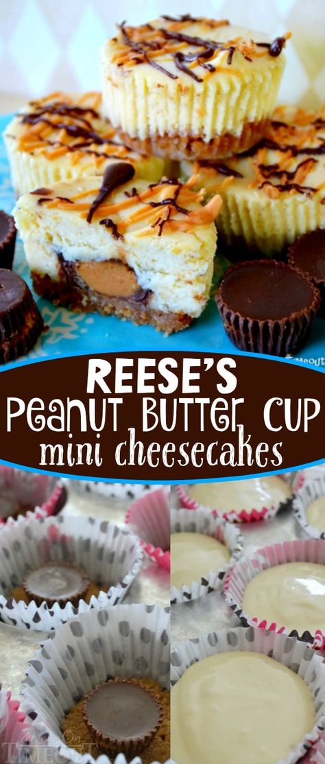 Reeses Cheesecake, Dessert Crepes, Dessert Halloween, Reese's Peanut Butter Cup, Dessert Mini, Coconut Dessert, Mini Cheesecake Recipes, Chocolate And Peanut Butter, Torte Cupcake