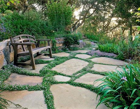 Thyme  Thyme blurs the lines between patio pavers    Read more: Ground Cover Flowers - Low Growing Flowers - Country Living Ground Cover Flowers, Garden Ideas Cheap, Flagstone Patio, Video Garden, Stone Walkway, Ground Cover Plants, Have Inspiration, Garden Pictures, Landscaping Tips