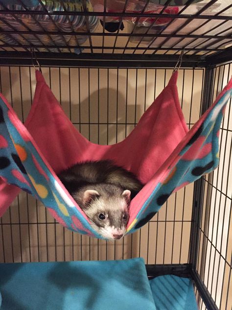 Multicolor Hearts Fleece Hammock, Custom Sizing, Square Flat Hammock for Ferrets, Chinchillas, Rats, Ferret Hammock, Ferret Nation Cage, Potty Pads, Pet Hammock, Guinea Pig Toys, Sugar Gliders, Reptile Cage, Guinea Pig Care, Guinea Pig Cage