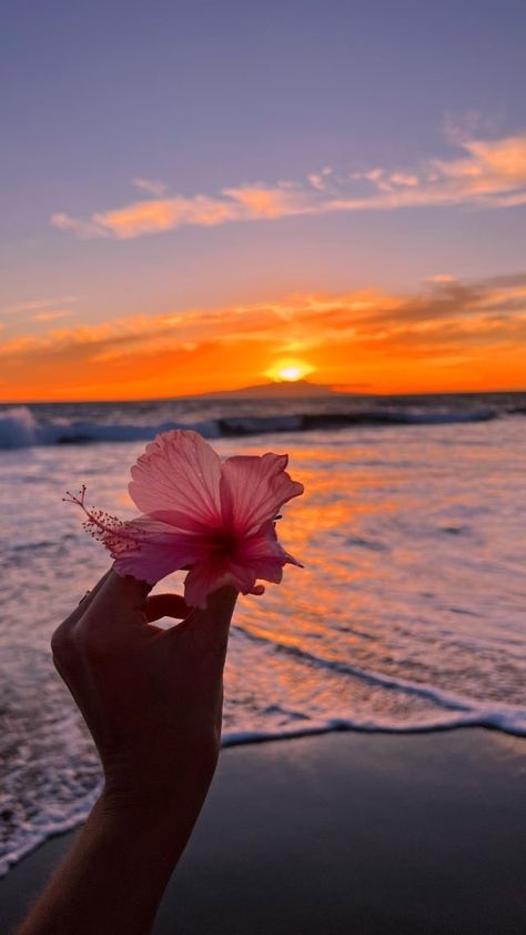 Pretty Landscapes, Beach Aesthetic, Beach Vibes, Summer Aesthetic, Hibiscus, Summer Vibes, The Ocean, Wallpapers, Flowers