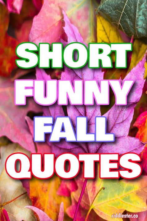 These quotes playfully celebrate the arrival of fall with references to pumpkin spice, falling leaves and the beauty of change. Fall Quotes Funny Humor, Fall Quotes For Instagram, Pumpkin Spice Quotes, Funny Fall Quotes, Quotes Funny Humor, Pumpkin Quotes, Leaf Quotes, Leaving Quotes, Festival Quotes