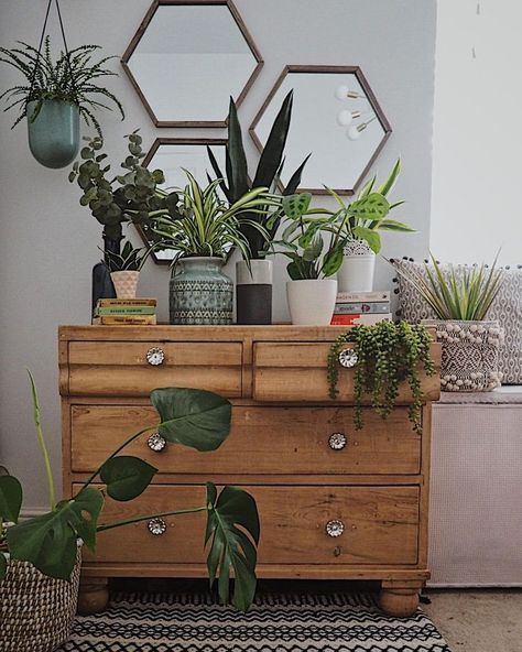 How To Dress A Bedroom Chest Of Drawers Botanical Bedroom Ideas, Chest Of Drawers Styling, Drawers Decor, Chest Of Drawers Decor, Living Room Chest, Pink Baby Room, Botanical Bedroom, Botanical Interior, Plant Mama