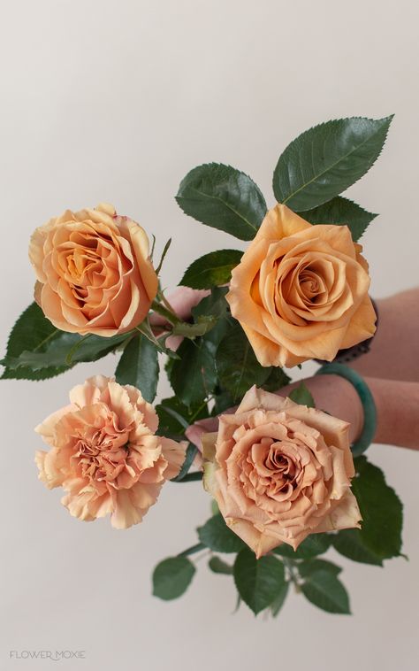 Terracotta Flowers, Toffee Roses Wedding Centerpieces, Terracotta Roses, Terracotta Carnations, Toffee Roses, Golden Mustard Rose, Toffee Roses Wedding Bouquet, Toffee Rose Arrangement, Terracotta Fall Flower Aestheti