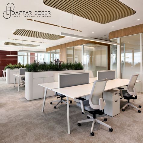 Our design mixes clean lines and fancy details to make your workspace awesome. Feel the vibe where your office looks cool and helps you work better. 😍🏢 Design your office with @daftardecor! Contact Us:- Call - 9875929307 📞 #OfficeUpgrade #modernstyle #daftardecor #moderndesign #Corporate #modernoffice #corporateofficedesigns #office #designs #workspace #officeworkspace #interiors #officeinteriordesign Office Space Interior, Modern Office Reception, Open Concept Office, Cabin Office, Acoustic Ceiling Panels, Open Space Office, Davis Furniture, Modern Office Interiors, Corporate Office Design