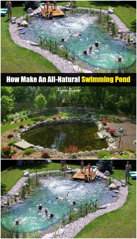 Swimming Pool Pond, Taman Air, Natural Swimming Ponds, Diy Pond, Diy Swimming Pool, Family Pool, Swimming Pools Inground, Swimming Pond, Natural Pond