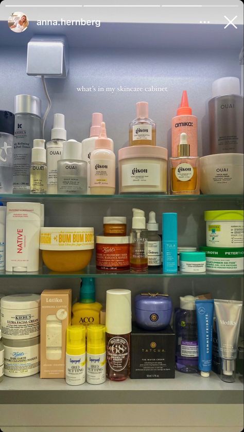 Organization Bathroom Cabinet, Bathroom Skincare Organization, Aesthetic Gisou, Skincare Organisation, Skincare Cabinet, Men Skin Care Routine, Best Instagram Feeds, Apple Watch Fashion, Detox Shampoo