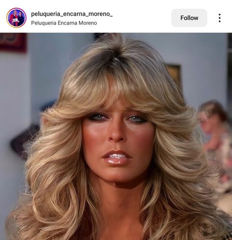 Farah Fawcett 70s Fashion, Farrah Fawcett 70s Makeup, 70s Hair Farrah Fawcett, Hair 70s Style Woman, 70s Glam Hair And Makeup, 80s Stars Women, Modern Farah Hair, Farah Fawcett Makeup, 80s Disco Hair