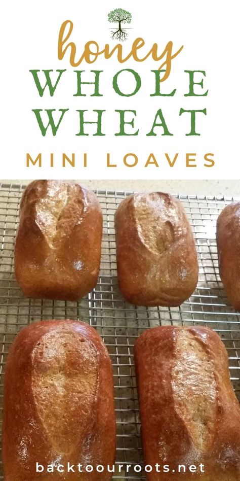 The Absolute Best Honey Whole Wheat Bread Recipe Mini Whole Wheat Bread, Mini Yeast Bread Loaves Recipes, Mini Bread Loaves Recipes Easy, Mini Bread Loaves Recipes Savory, Mini Bread Loaves Recipes, Mini Loaves Of Bread, Yeast Bread Loaf, Honey Whole Wheat Bread Recipe, Mini Loafs