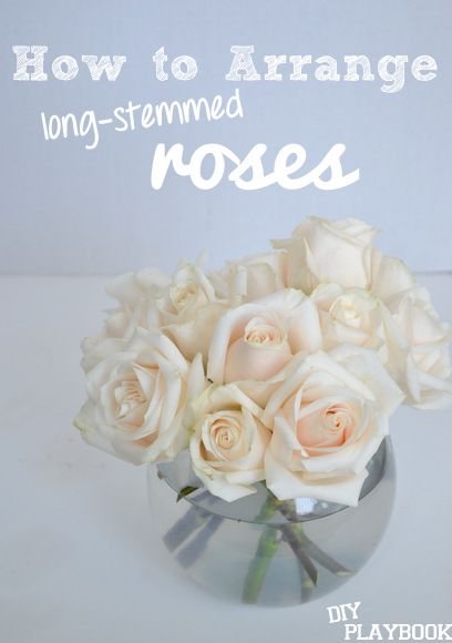 How to Arrange Long-Stemmed Roses in a rounded vase. #flowers, diy floral arrangements Flowers Arrangements Diy, Rounded Vase, Diy Playbook, Vase Flowers, Most Popular Flowers, Diy Arrangements, Diy Roses, Floral Arrangements Diy, Round Vase