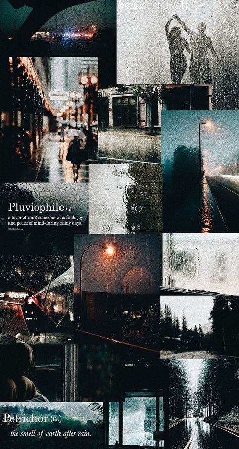 Petrichor Aesthetic, Pluviophile Aesthetic, Smell Of Earth After Rain, Mind Peace, Aesthetic Water, Rain Aesthetic, I Love Rain, Water Aesthetic, After Rain