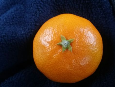 Orange Reference Photo, Orange Aesthetic Fruit, Orange Reference, Tangerine Aesthetic, Blue And Orange Aesthetic, Cutie Orange, Orange Core, Oranges Fruit, Orange Aesthetic