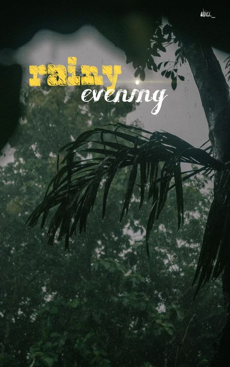 Rainy evening Good Evening Rainy Images, Rainy Evening Photography, Rainy Day Aesthetic Instagram Story, Rain Snap, Maha Dev, Rainy Photography, Rainy Day Photography, Side Pic, Rainy Evening