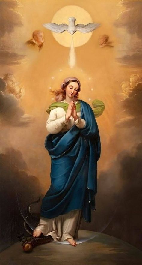 Medjugorje Messages, Immaculate Conception Of Mary, Our Lady Of Immaculate Conception, Virgin Mary Painting, Mary Jesus Mother, Mother Mary Pictures, Catholic Artwork, Mary Immaculate, Jesus Mother