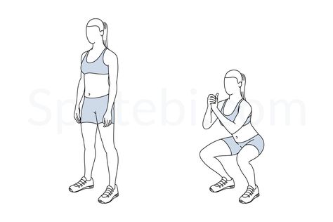 Squat exercise guide with instructions, demonstration, calories burned and muscles worked. Learn proper form, discover all health benefits and choose a workout. High Knee Exercise, Hip Flexor Exercises, Squat Press, Push Workout, Best Workout Plan, Back Fat Workout, Workout Plan For Beginners, Calories Burned, Squat Workout