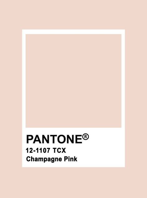 Champagne Color Palette, Pink Pantone, Blush Color Palette, Pantone Palette, Pantone Colour Palettes, Bedroom Colour Palette, Champagne Pink, How To Apply Blush, Pink Palette