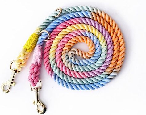 Tesitehi Hands Free Rope Dog Leash 7.5 FT with Adjustable Double Swivel Hook for Small Medium and Large Dogs Running Hiking Camping Walking (Colorful Macaron) : Amazon.ca: Pet Supplies Short Dog Leash, Braided Dog Leash, Dogs Running, Hands Free Dog Leash, Short Dog, Rope Dog Leash, Rope Leash, Small Animal Supplies, Rope Dog