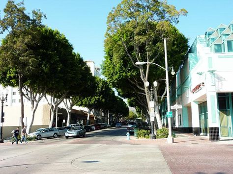 Whittier California, Vintage California, Big Tree, Beautiful City, Favorite City, Old Houses, Interior And Exterior, Street View, Trees