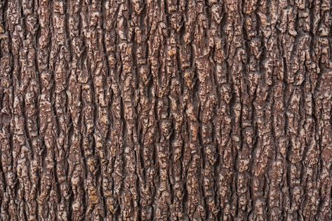 Relief texture of the brown bark of a tr... | Free Photo #Freepik #freephoto #background #texture #wood #line Black Wood Texture, Vertical Forest, Brown Wood Texture, Tree Texture, Tree Bark Texture, Dry Tree, Tree Textures, Retro Posters, Wooden Log