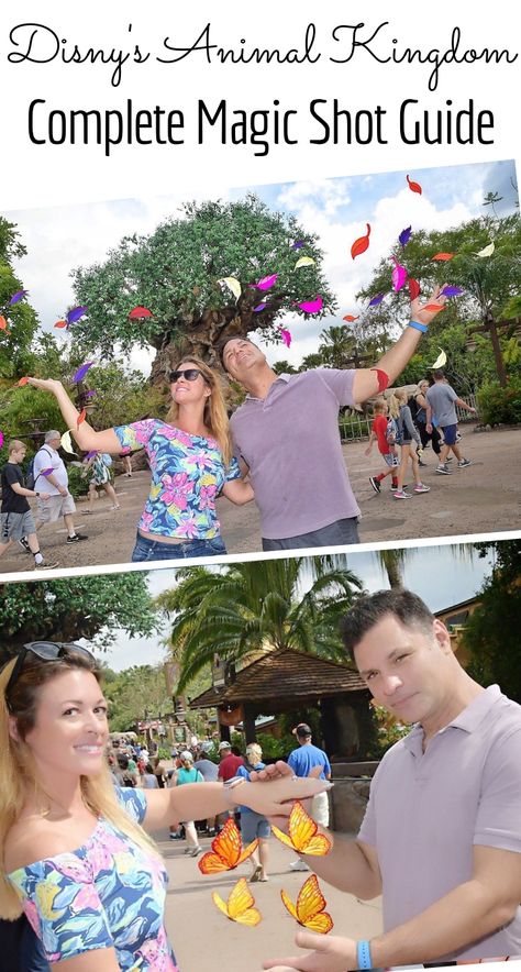 Magic Shots and Other PhotoPass Pictures Now Available at Disney's Animal Kingdom - The Castle Run Disney Vacation Planning, Disney World Florida, Mall Of America, Disney World Planning, Disney Animals, Walt Disney World Vacations, Disney Planning, Disney Photos, Run Disney