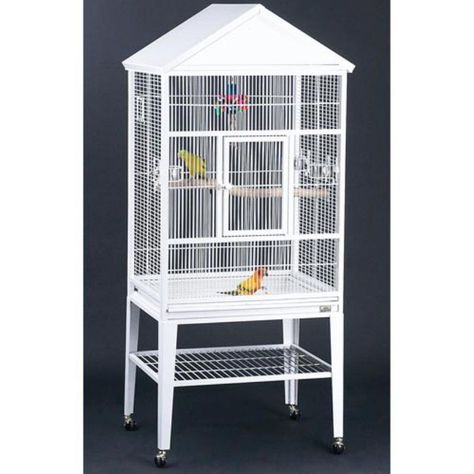 Big Bird Cage, Budgie Cage, Bird Cages For Sale, Flight Cage, Antique Bird Cages, Budgies Bird, Bird Aviary, Bird Cages, Touch Up Paint