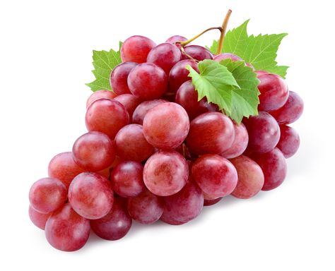 Grape Seed Extract is one of our 9 clinically studied ingredients. Grape seeds are rich in antioxidants, including phenolic acids, anthocyanins, flavonoids, and oligomeric proanthocyanidin complexes. Studies show that grape seed extract supports numerous cardiovascular benefits and can aid in wound healing.*  • Supports healthy circulation* • Helps maintain healthy cholesterol* • Protects blood vessels* • Powerful antioxidant helps safeguard cells*  Learn more at www.regenafin.com/ingredients Cotton Candy Grapes, Giant Food, Growing Grapes, Grape Seed Extract, Grape Bunch, Purple Grapes, Red Grapes, Organic Fruit, Wine Making