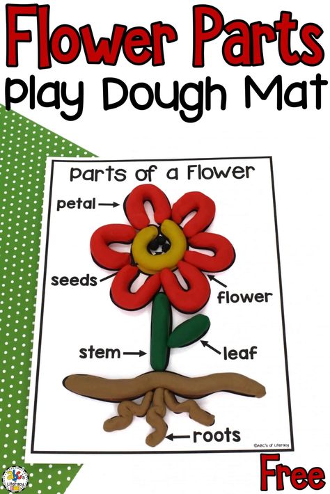 This Flower Parts Play Dough Mat is a hands-on way for your kids use their senses as they are learning all about the parts of a plant. Parts Of The Flower Activities, Plant Sensory Activities, Parts Of The Plant Activities, Flower Parts Worksheet, Flower Parts For Kids, Parts Of A Flower Activity, Plants Parts For Kids, Part Of Plants For Kids, Parts Of The Plants For Kids