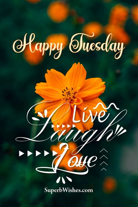 Happy Tuesday! I wish for you much laughter today! 🌞 Good Morning Happy Tuesday Quotes, Morning Tuesday Quotes, Good Morning Tuesday Quotes, Tuesday Morning Quotes, Tuesday Morning Wishes, Tuesday Wishes, Good Morning Happy Tuesday, Happy Tuesday Images, I Wish For You