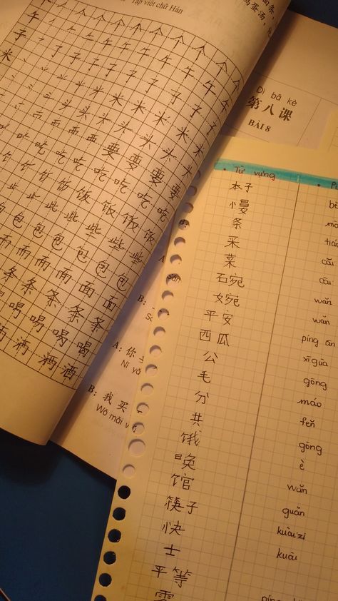 Mandarin Language Aesthetic, Learning Chinese Aesthetic, Chinese Language Aesthetic, Mandarin Aesthetic, Chinese Notes, Language Aesthetic, Chinese Handwriting, Study Chinese, Sign Language Chart