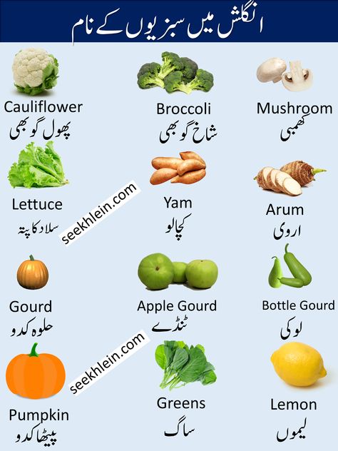 Vegetables Name, Urdu Writing, Urdu Vocabulary, Simple English Sentences, Basic English Grammar Book, Learning Vocabulary, Cauliflower Mushroom, Mushroom Broccoli, English Meaning