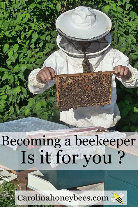 How To Start Beekeeping, Backyard Bee, Beekeeping For Beginners, Raising Bees, Beekeeping Equipment, Backyard Beekeeping, Bee Keeper, Bee Garden, Hobby Farms